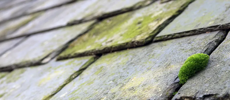 travaux d acces difficile laval